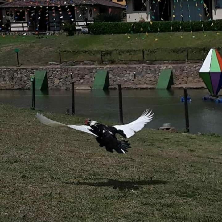 Flat Para 8 Pessoas No Melhor De Gravata Bagian luar foto