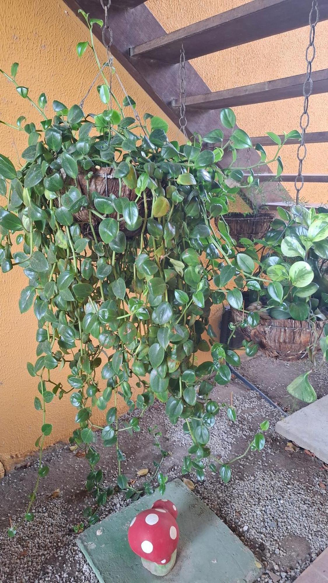 Flat Para 8 Pessoas No Melhor De Gravata Bagian luar foto