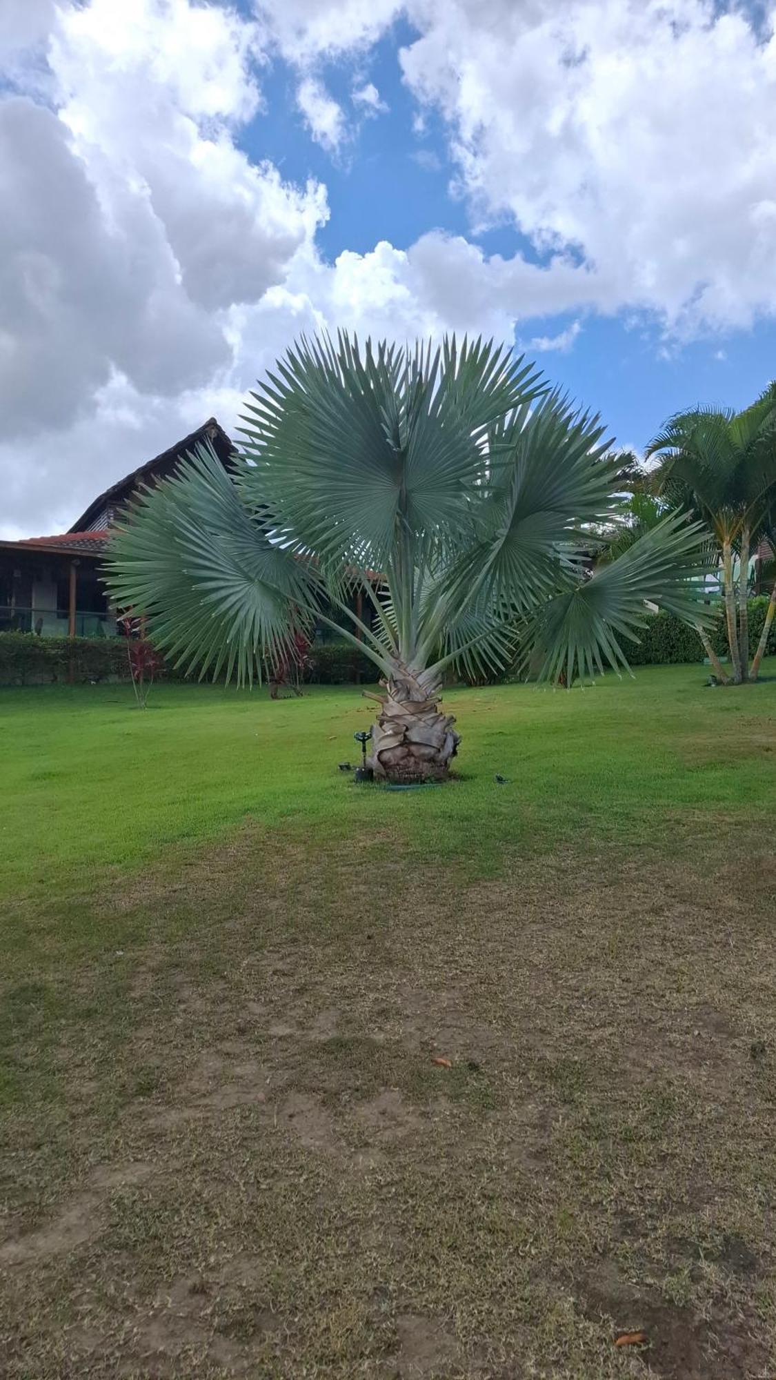 Flat Para 8 Pessoas No Melhor De Gravata Bagian luar foto
